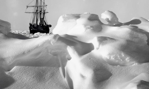 Shackletons Expeditionsschiff Endurance in der Antarktis entdeckt
