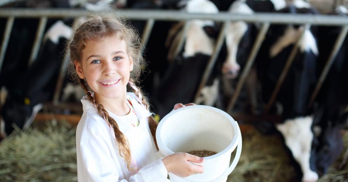 Warum die Nähe zum Kuhstall vor Allergien schützt