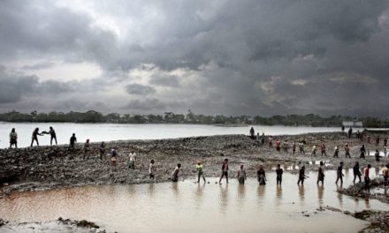 Umweltforscherin: „Wir sehen immer mehr Fehlanpassungen“