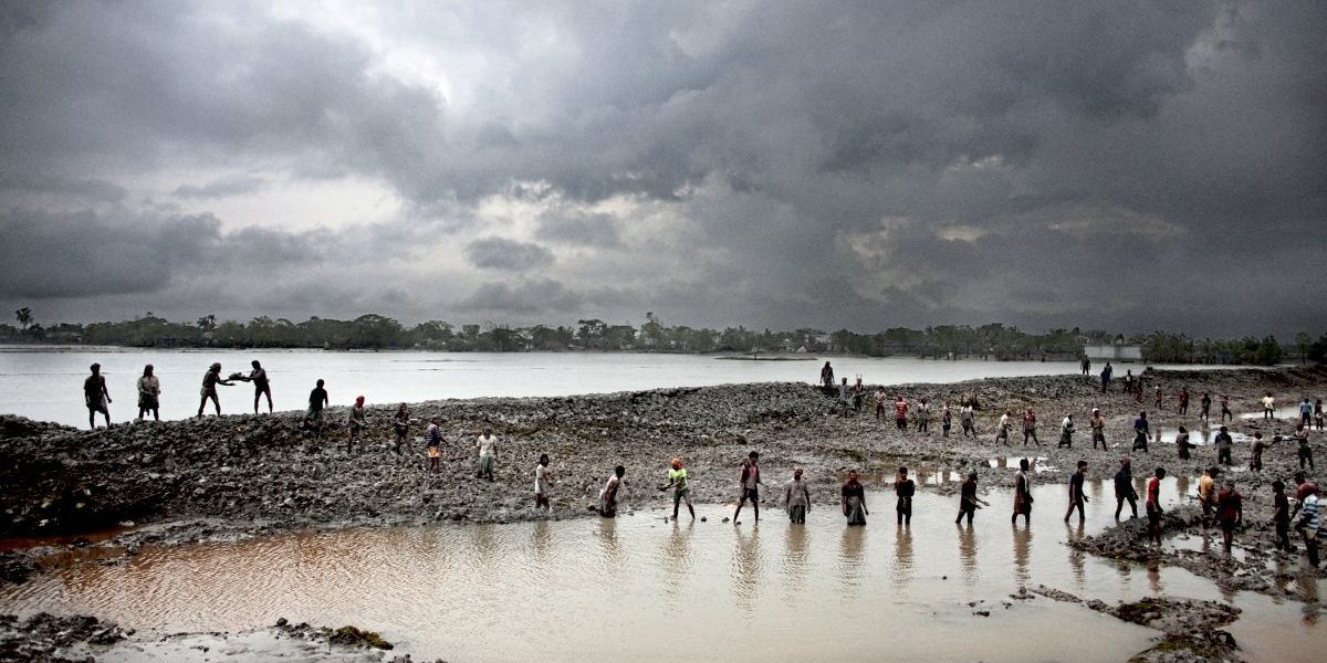 Umweltforscherin: „Wir sehen immer mehr Fehlanpassungen“