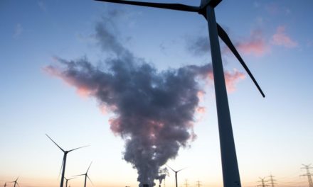 Ökostrom-Erzeuger: „Können Ausbauziele übererfüllen, wenn es ernst wird“