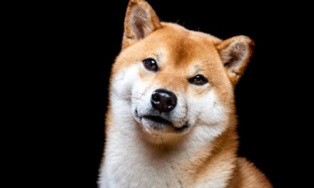 Shiba Inu (SHIB): So drängt der Memecoin in den türkischen Mainstream