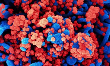 Grund zur Sorge? Erste Fälle von neuer Hybridvariante „Deltacron“