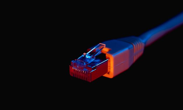 Whitebox-Routing: DENT 2.0 „Beeblebrox“ veröffentlicht