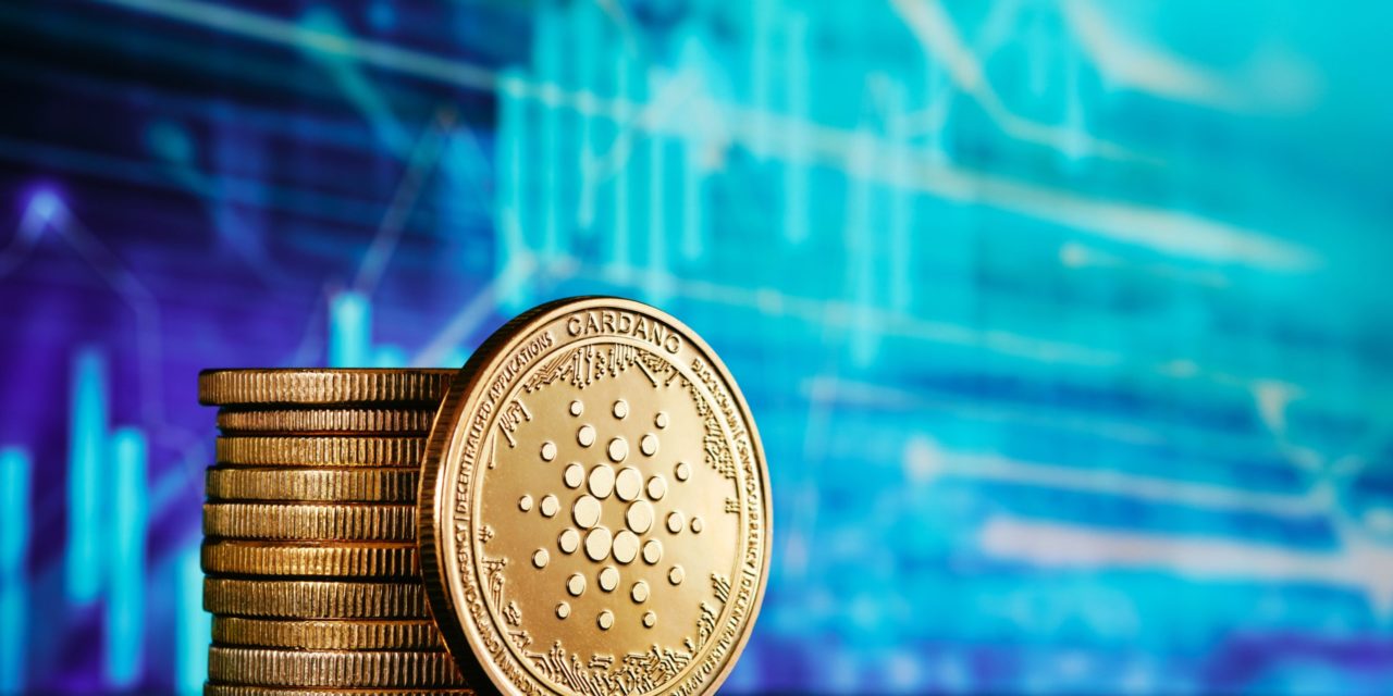 Cardano: Über 500 Projekte setzen jetzt auf die Smart-Contract-Plattform