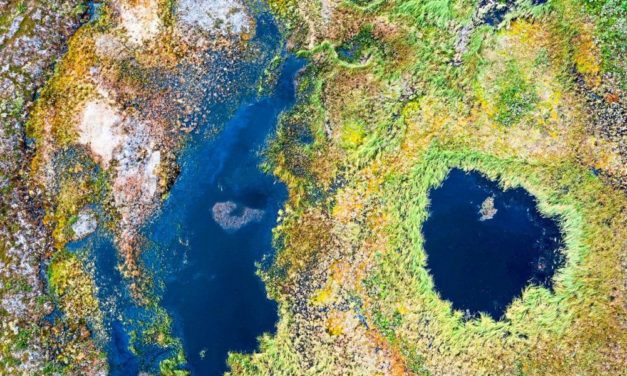 Europas tauende Moorböden nähern sich einem kritischen Punkt