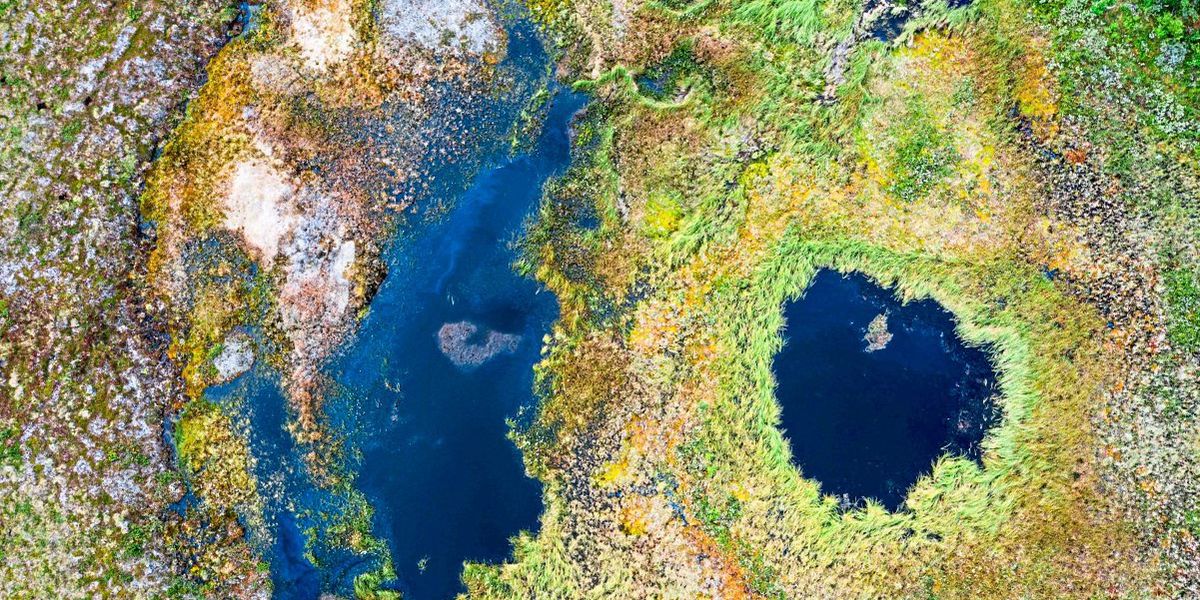 Europas tauende Moorböden nähern sich einem kritischen Punkt