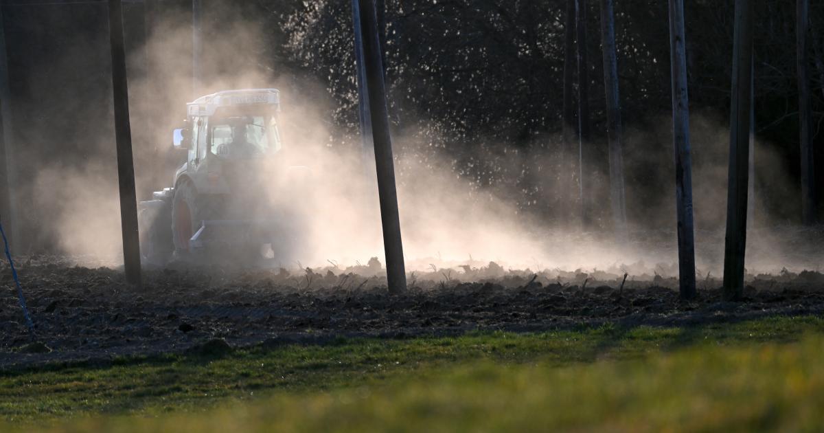 Russischer Dünger: Abhängigkeit auch Problem für die EU