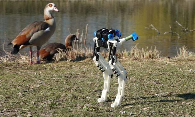 Roboter nach dem Vorbild eines Laufvogels entwickelt