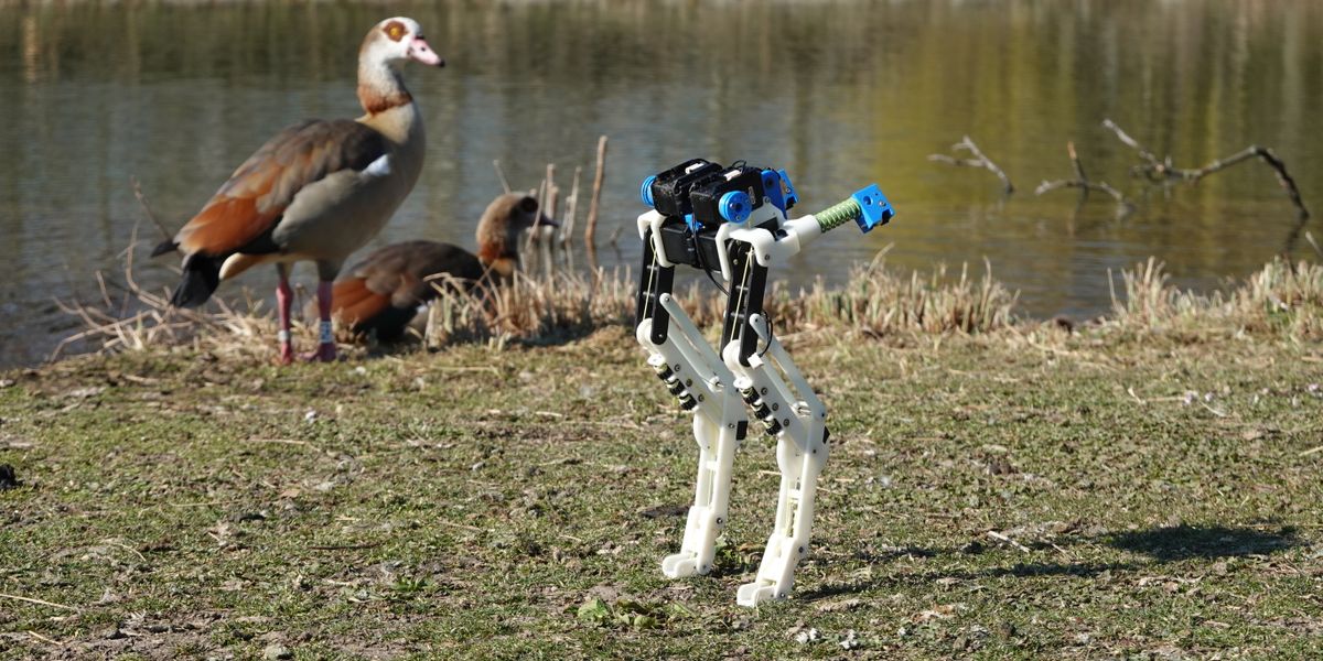 Roboter nach dem Vorbild eines Laufvogels entwickelt