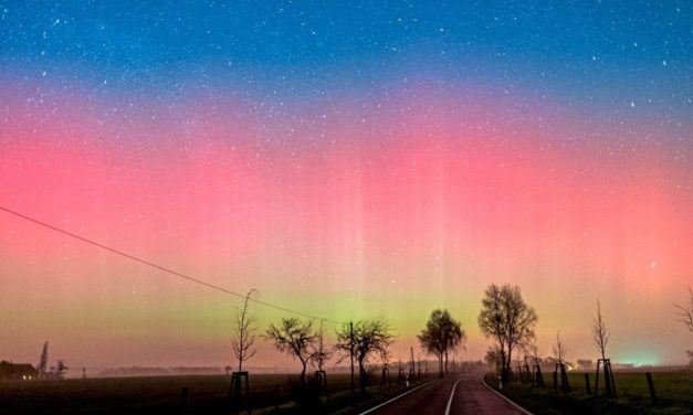 ERC-Grants gehen an zehn in Österreich tätige Forschende