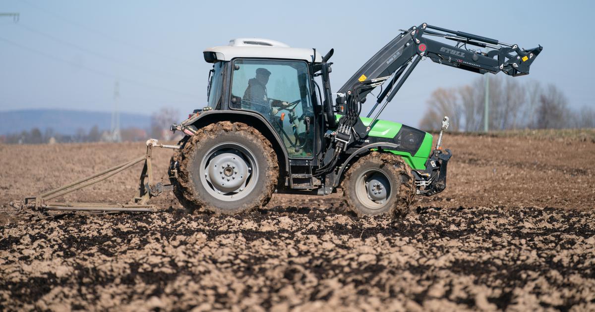 Teure Dünger machen 2022 zum „Jahr der Sojabohne“