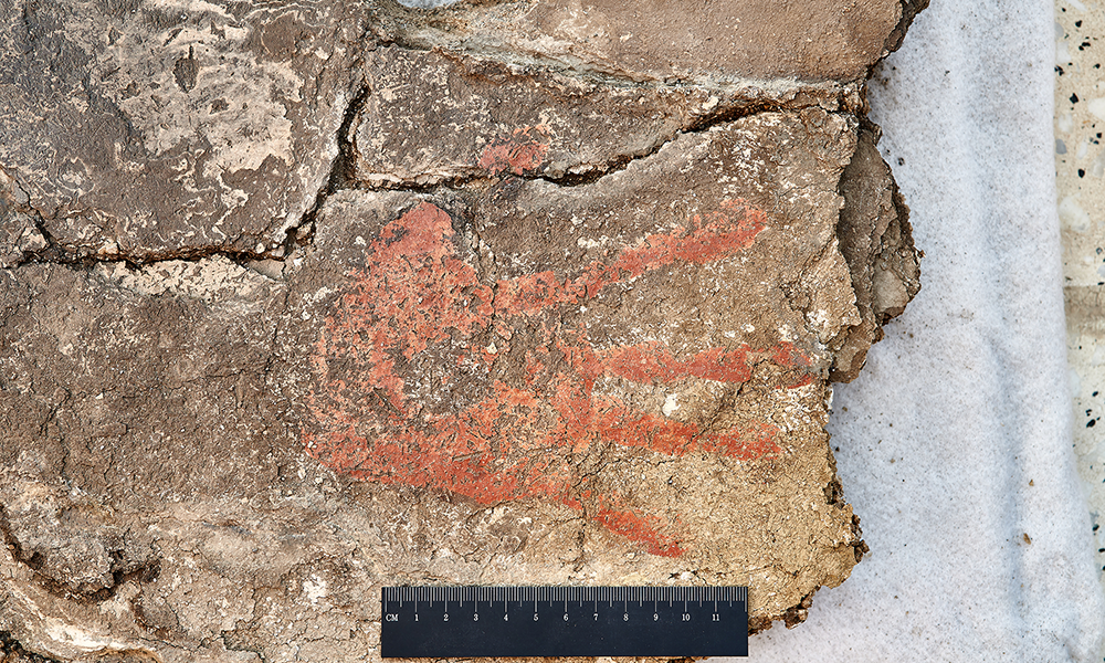 Bunte Skelette verraten steinzeitliche Bestattungsriten