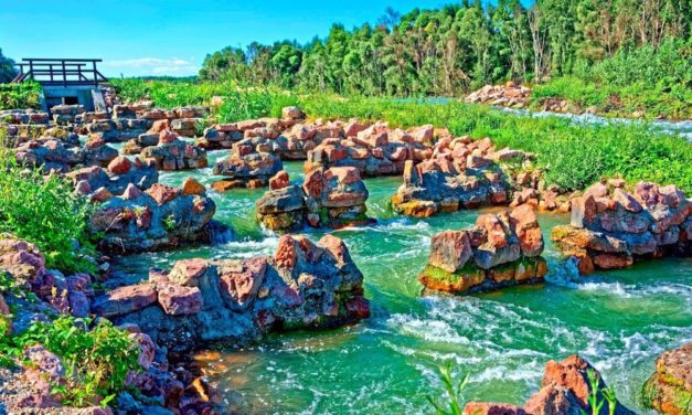 Die Donau, ein Ökosystem zwischen Umwelt, Tourismus und Verkehr