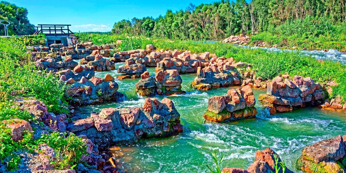 Die Donau, ein Ökosystem zwischen Umwelt, Tourismus und Verkehr
