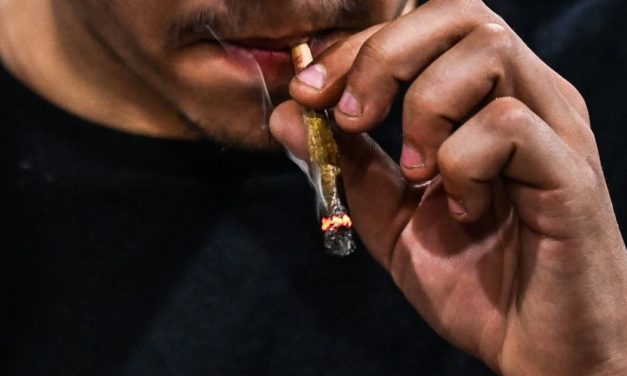 Studie: Medizinisches Cannabis kann zu Konsumstörung führen