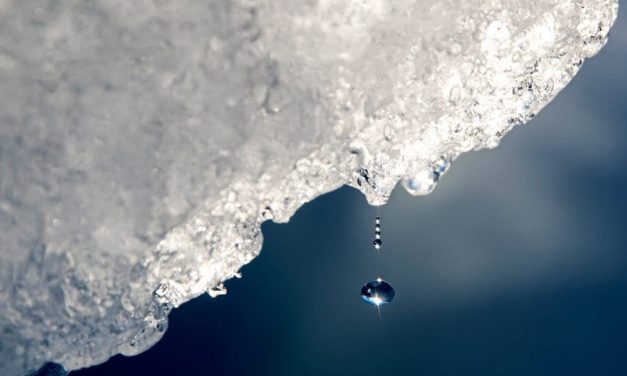 Experten melden Rekordtemperaturen in der Antarktis