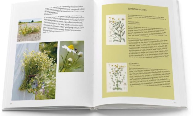 Buchtipp zum Frühlingsbeginn: Die Sprache der Blumen