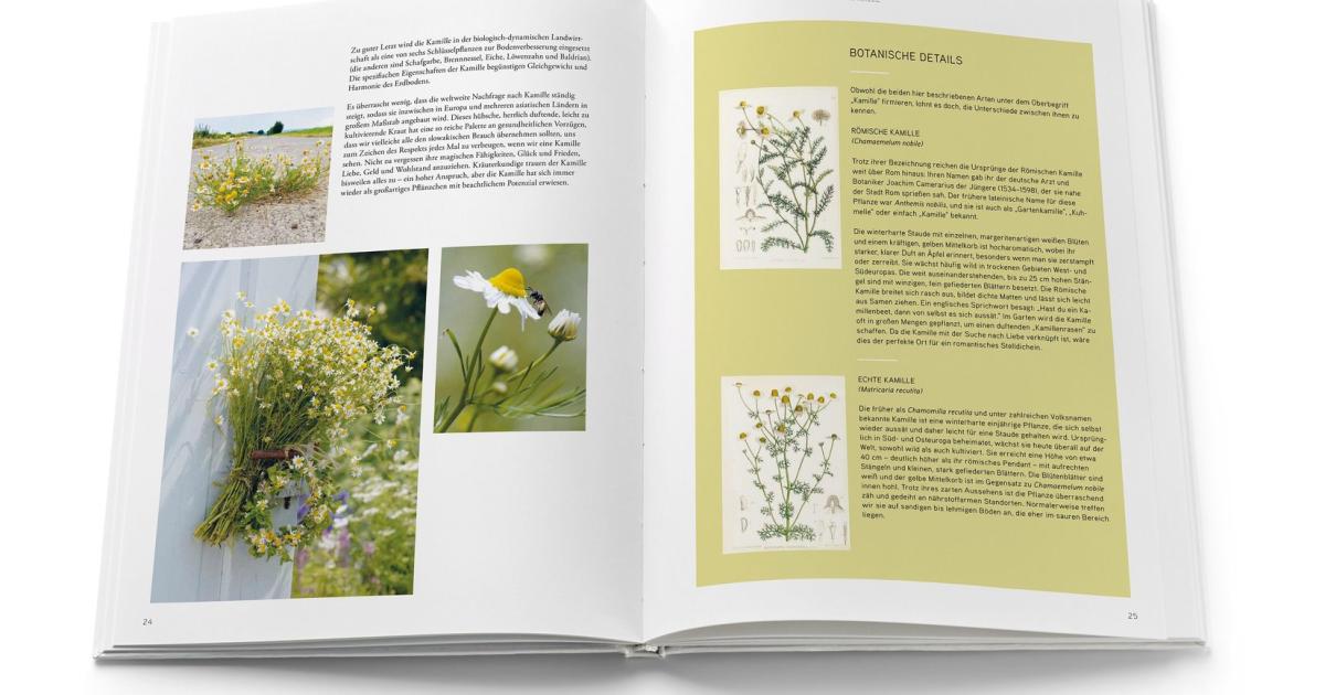 Buchtipp zum Frühlingsbeginn: Die Sprache der Blumen