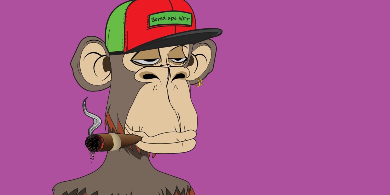 BAYC NFTs: Ein Metaverse voller NFTs von Affen, Punks und Katzen