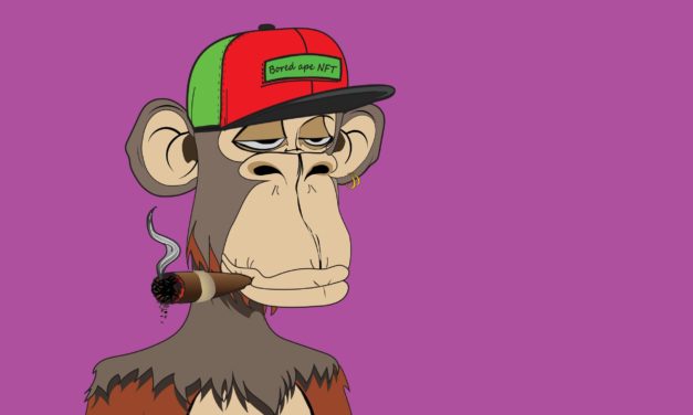 BAYC NFTs: Ein Metaverse voller NFTs von Affen, Punks und Katzen