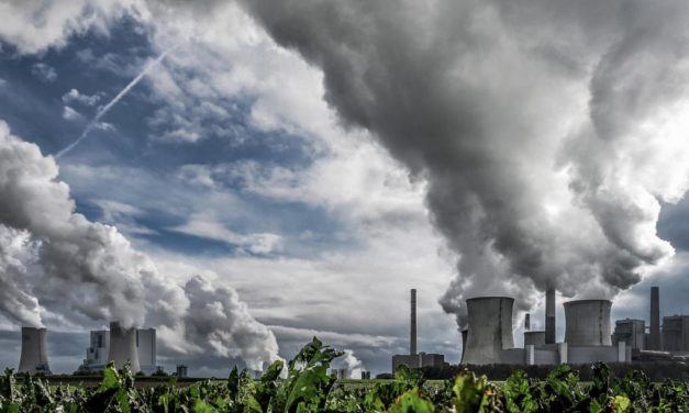 CO2-Zoll: Wie die Grenzabgabe das Klima retten soll
