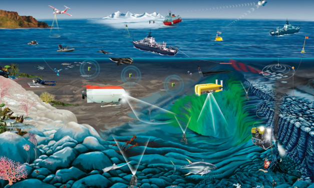 Marine Biodiversität in der Hohen See: Noch immer kein internationaler Schutz