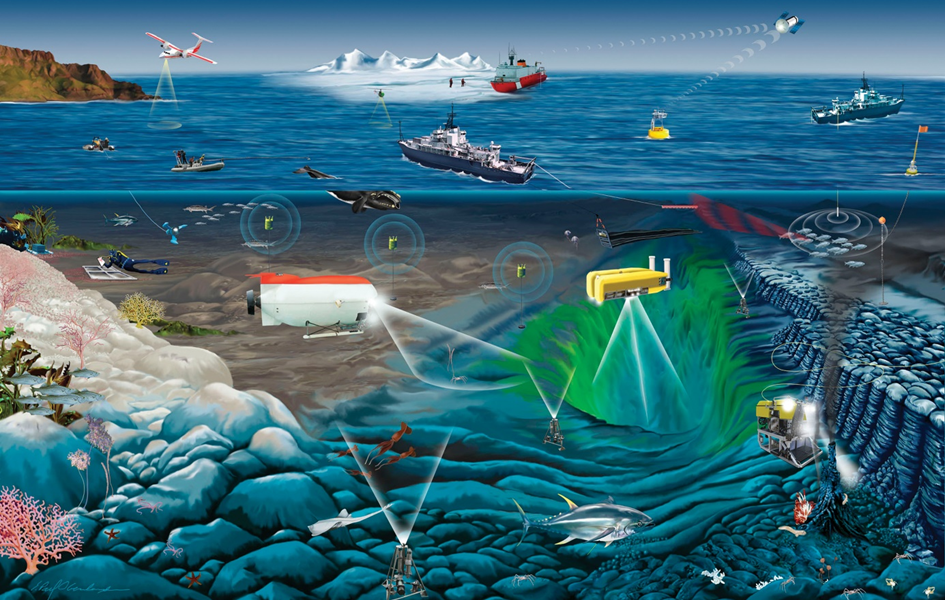 Marine Biodiversität in der Hohen See: Noch immer kein internationaler Schutz