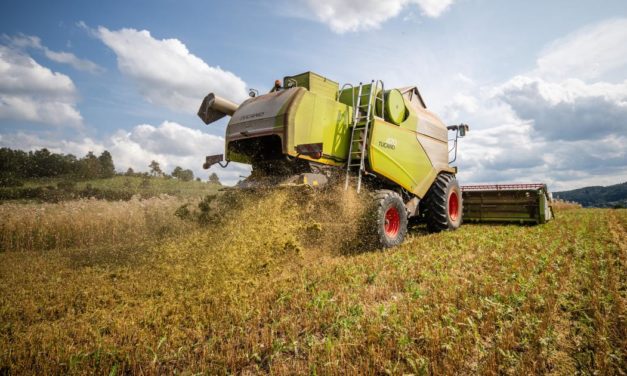 Kriegsfolgen abfedern: Bauern in der EU sollen Produktion steigern
