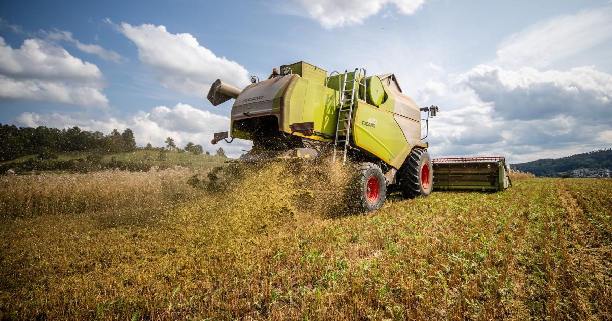Kriegsfolgen abfedern: Bauern in der EU sollen Produktion steigern