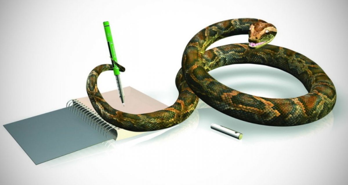 Machine Learning: Meta spendet 300.000 Dollar an die Python Software Foundation