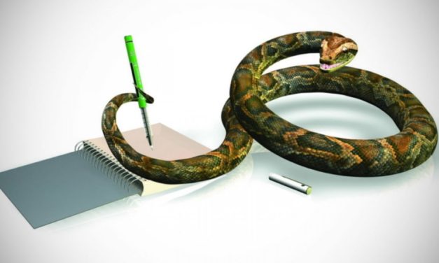 Machine Learning: Meta spendet 300.000 Dollar an die Python Software Foundation