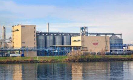 Agrana erwartet Millionen-Abschreibung wegen Ukraine-Kriegs