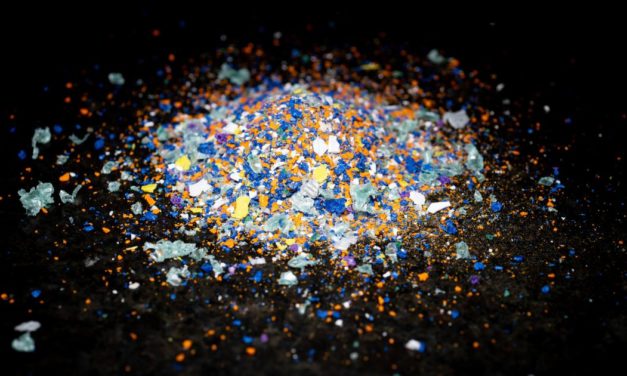 Erstmals Mikroplastik im menschlichen Blut gefunden