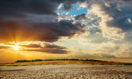 Öffentliche Verwaltung as a Service: EVB-IT Cloud soll Ämter modernisieren