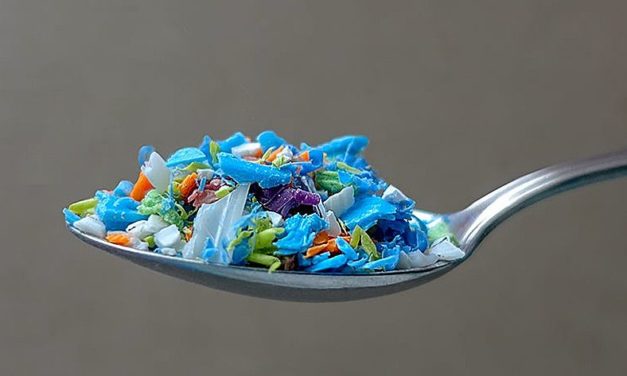 Mikroplastik erstmals im menschlichen Blut nachgewiesen