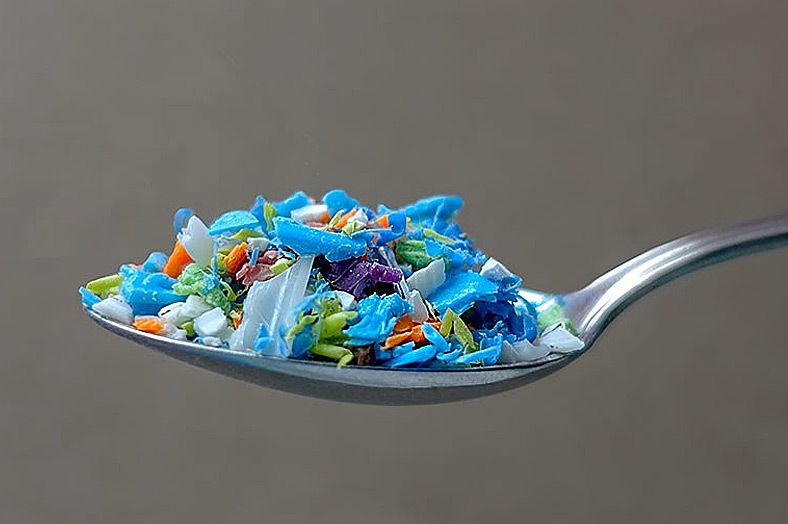 Mikroplastik erstmals im menschlichen Blut nachgewiesen