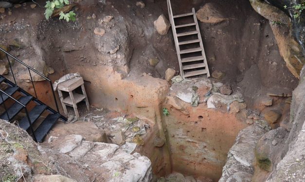 Menschen nutzten schon vor 100.000 Jahren Oliven als Brennstoff