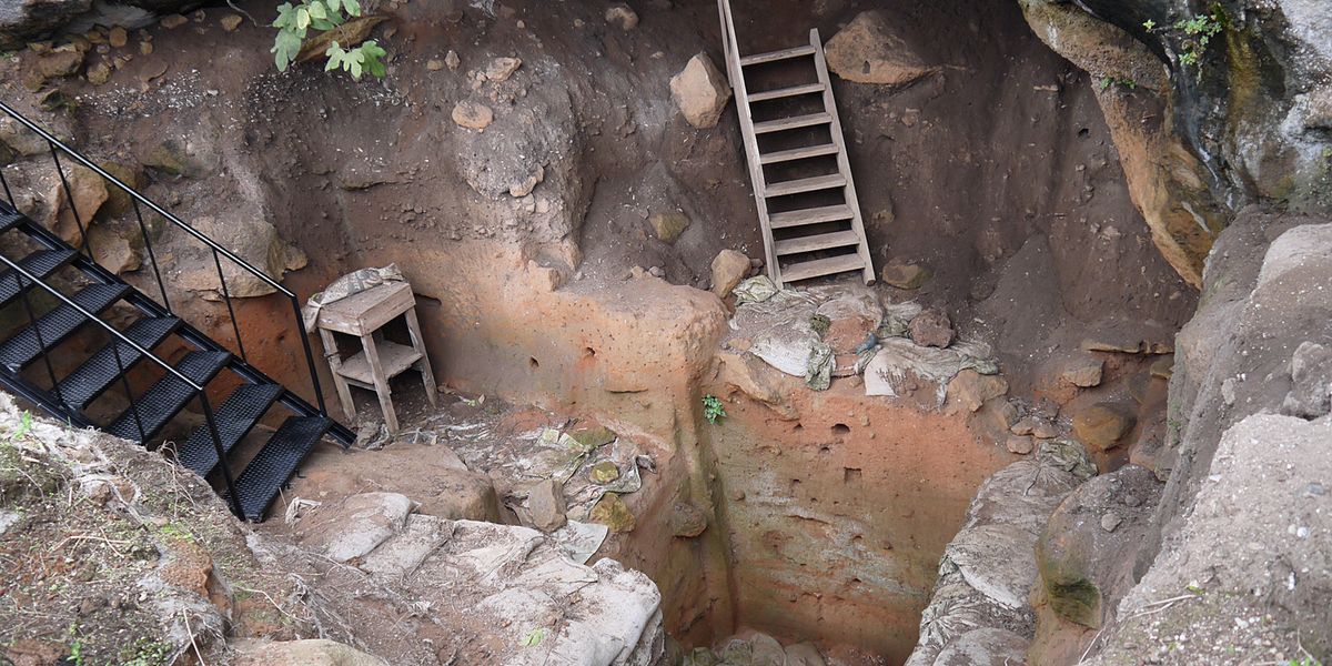 Menschen nutzten schon vor 100.000 Jahren Oliven als Brennstoff