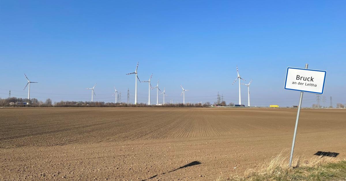 Milliardeninvestment: Hier baut Boehringer das neue Pharmawerk in NÖ