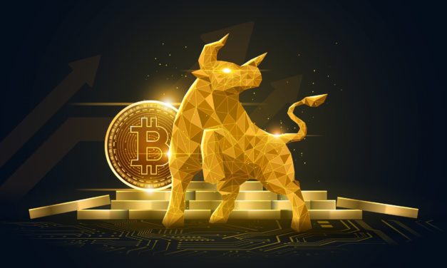 Bitcoin knackt 47.000 US-Dollar: So bullish ist der Kryptomarkt