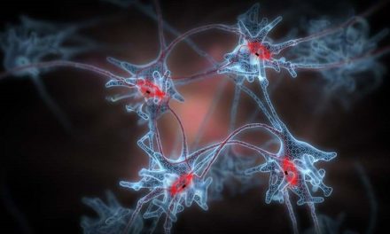 Erster „Quanten-Memristor“ soll KI und Quantencomputer verbinden