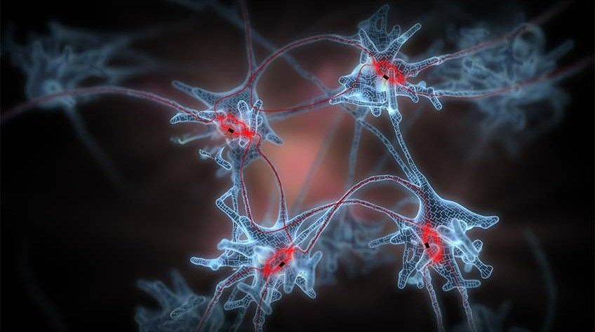 Erster „Quanten-Memristor“ soll KI und Quantencomputer verbinden