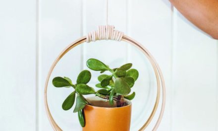 Blumenampel: Hängende Pflanzenringe zum Nachbasteln