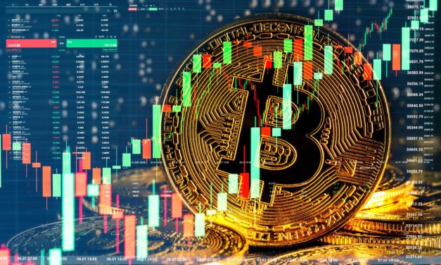 Über 48.000 US-Dollar: Bitcoin-Kurs auf Jahreshoch