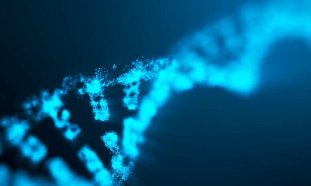 Menschliches Genom endlich vollständig entschlüsselt