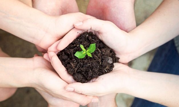 Projekte aus kollektiver Hand für eine nachhaltige Zukunft