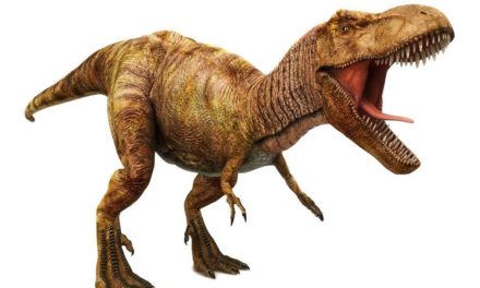 Die absurd kurzen Arme des T. rex: Neue Vermutung veröffentlicht