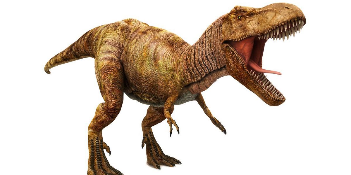 Die absurd kurzen Arme des T. rex: Neue Vermutung veröffentlicht