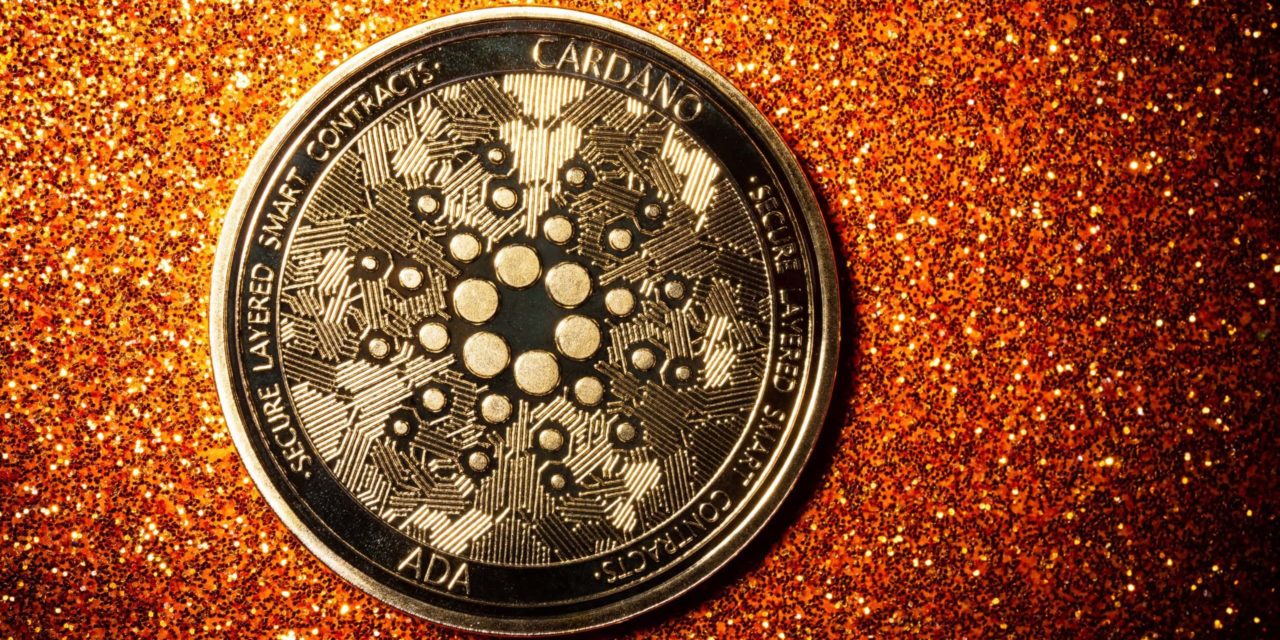 Cardano: Snoop Dogg mit neuer NFT-Kollektion